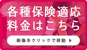 各種保険適応料金