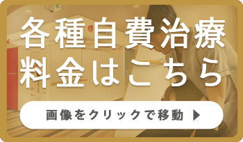 各種自費治療料金